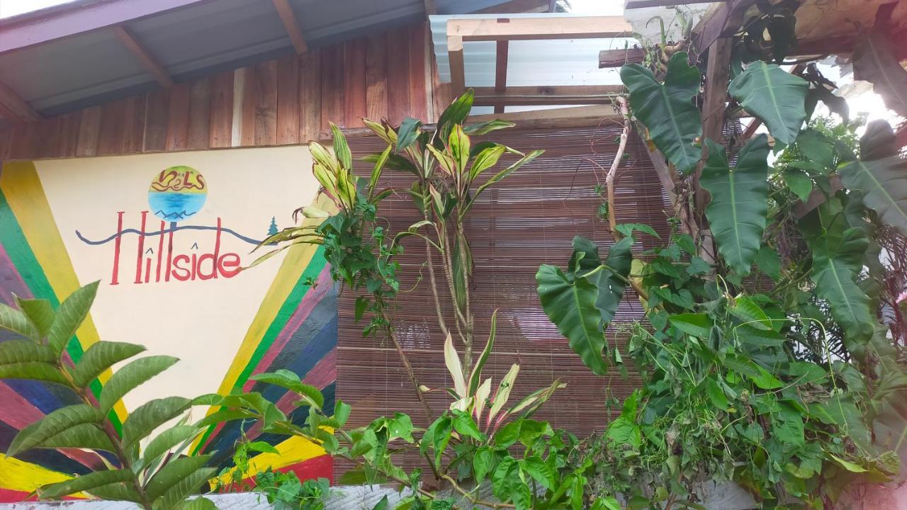 Mil'S Hillside Tourist Inn San Vicente  Buitenkant foto