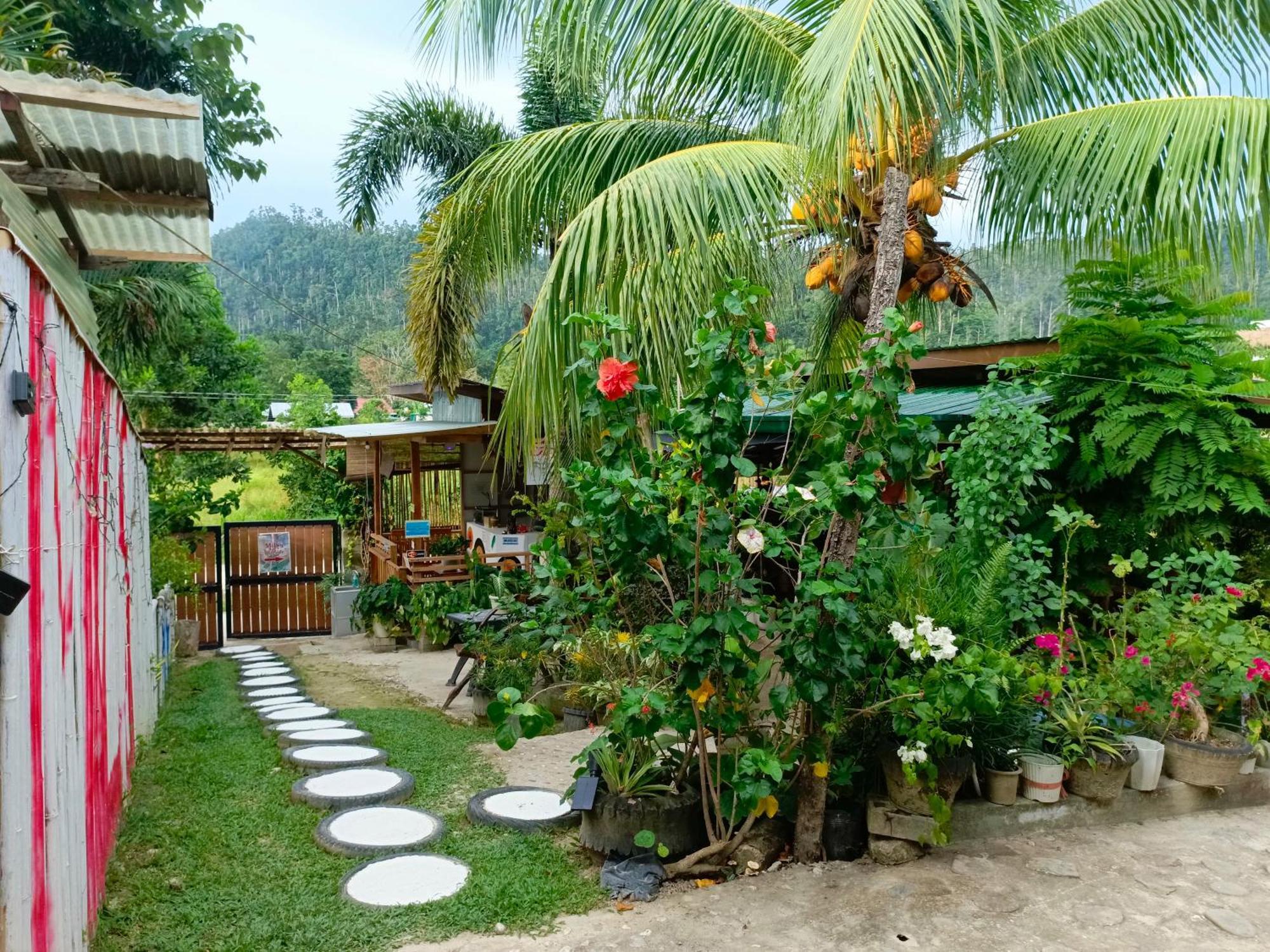 Mil'S Hillside Tourist Inn San Vicente  Buitenkant foto